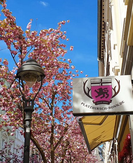 Bonn Souvenir Shop