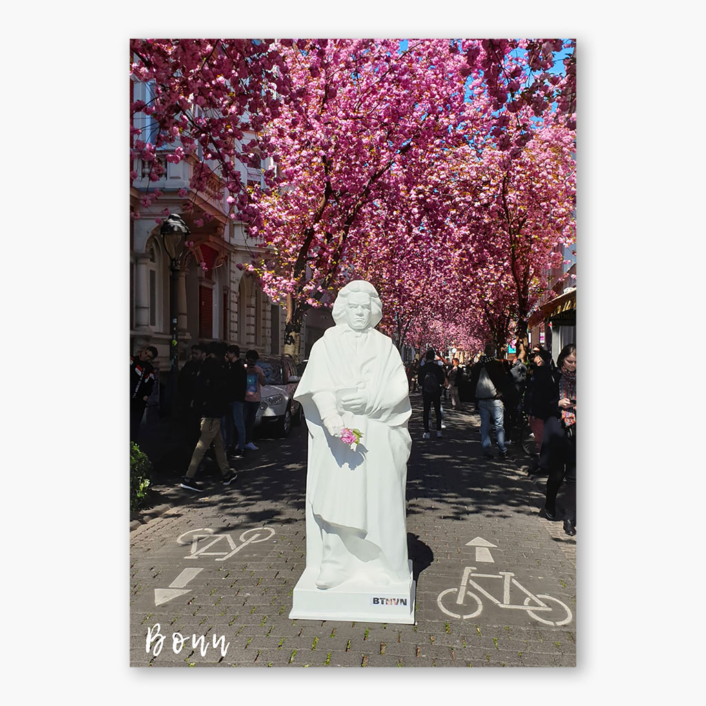 Pk-1-2023 Postkarte Beethoven in der Altstadt während der Kirschblüte – Bild 1