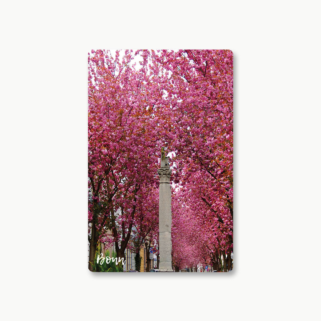 Kühlschrankmagnet Kirschblüte Bonn #10 – Bild 1