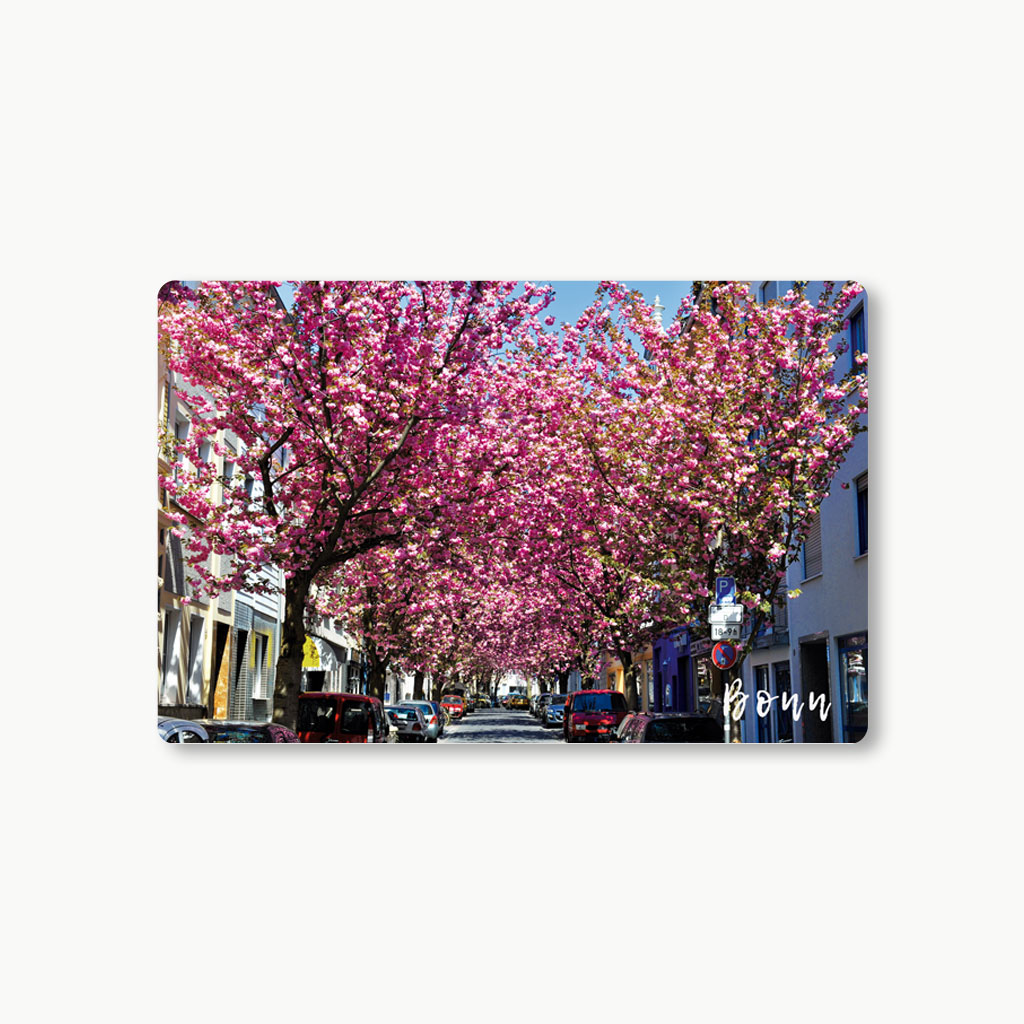 Kühlschrankmagnet Kirschblüte Bonn #5 – Bild 1