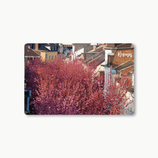 Kühlschrankmagnet Kirschblüte Bonn #8