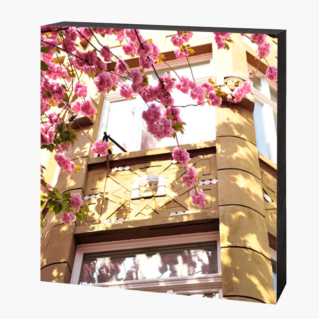 MDF-1549 Kirschblütenbild Bonn Altstadt #1549 – Bild 1