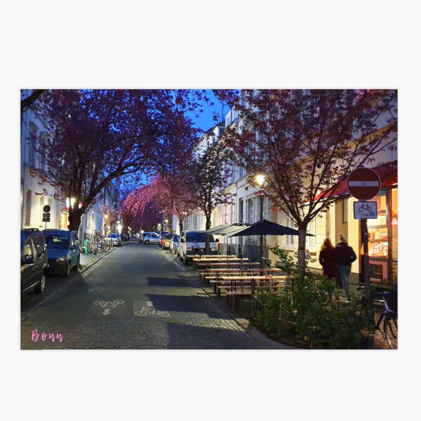 Postkarte Bonner Kirschblüte am Abend