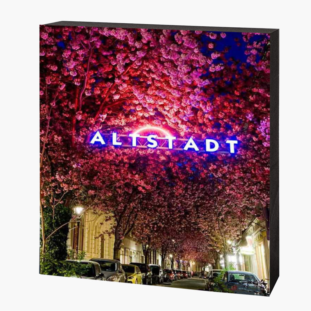 Holzbild-Vorlage-quadratisch-seitlich-2025-3 Kirschblütenbild Bonn Altstadt – Bild 1