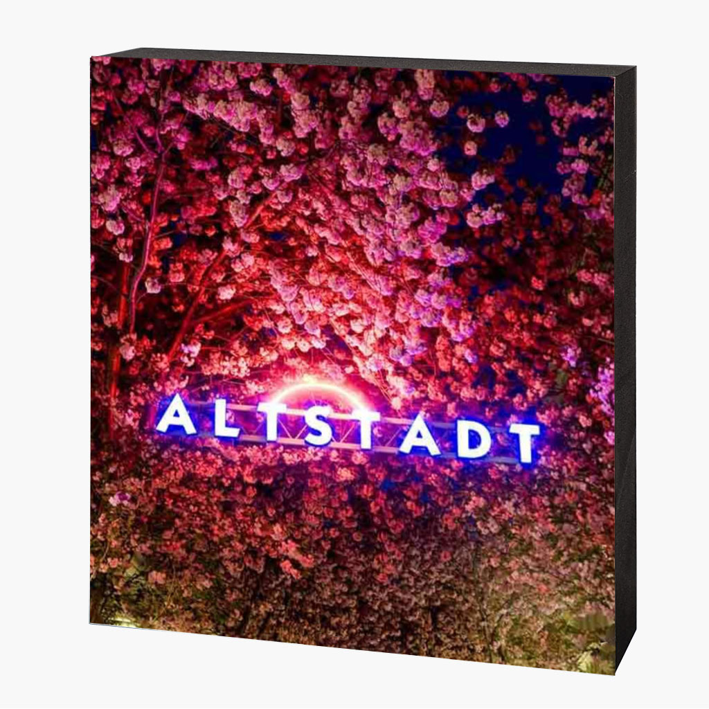 Holzbild-Vorlage-quadratisch-seitlich-2025-5 Kirschblütenbild Bonn Altstadt – Bild 1